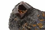 Zircon Crystals in Mica Schist Matrix - Norway #94425-2